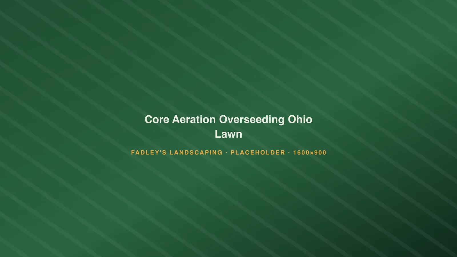 Soil cores pulled from a lawn during core aeration in Northwest Ohio