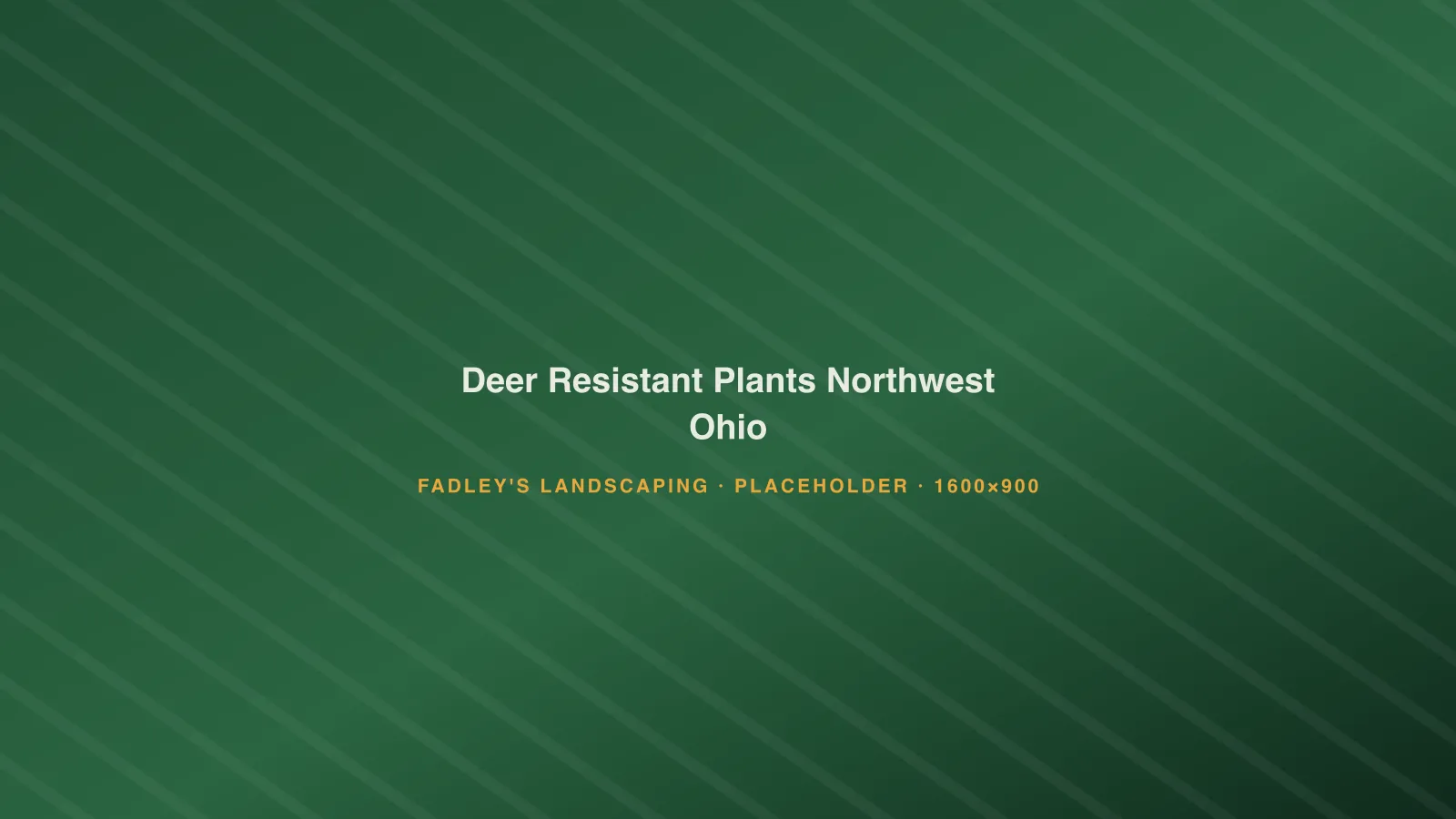 Deer-resistant landscape planting with boxwood, ornamental grasses and catmint in Northwest Ohio