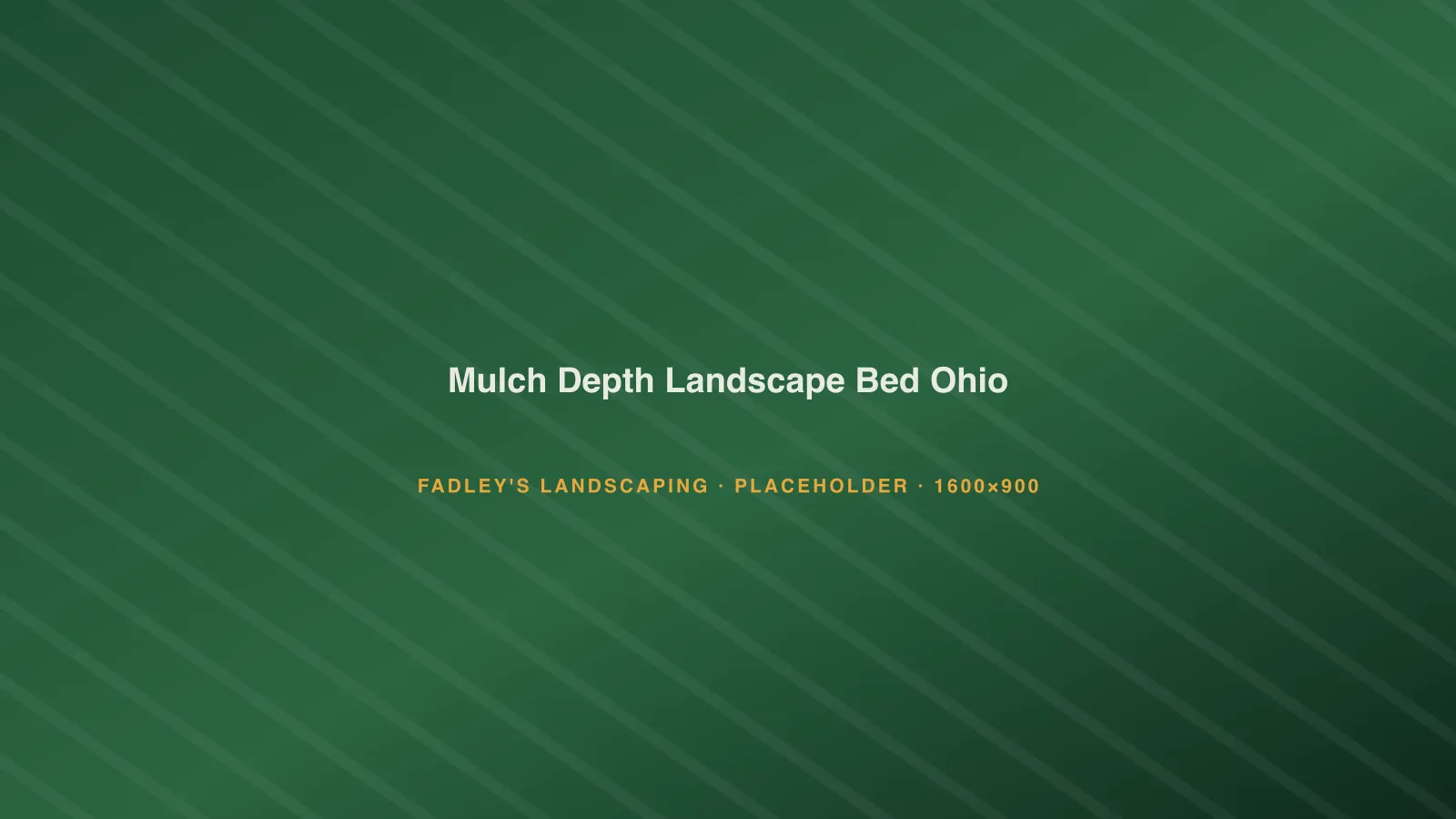 Hardwood mulch installed at correct depth in a landscape bed with a clean spade edge in Ohio
