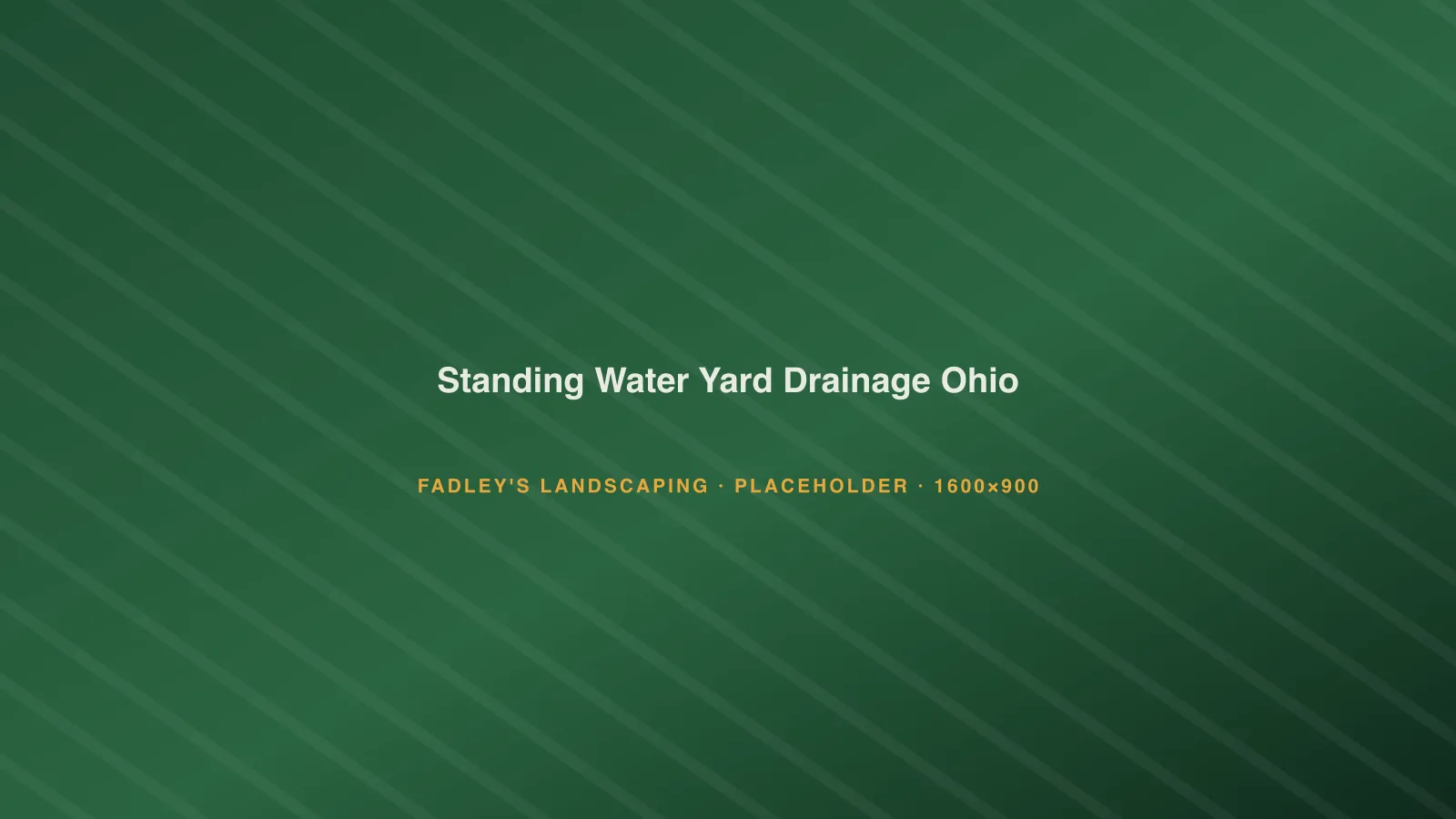 Standing water pooling in a back yard after heavy rain in Northwest Ohio